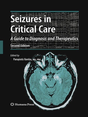cover image of Seizures in Critical Care